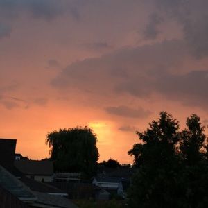 Meet your Posher, Cedar